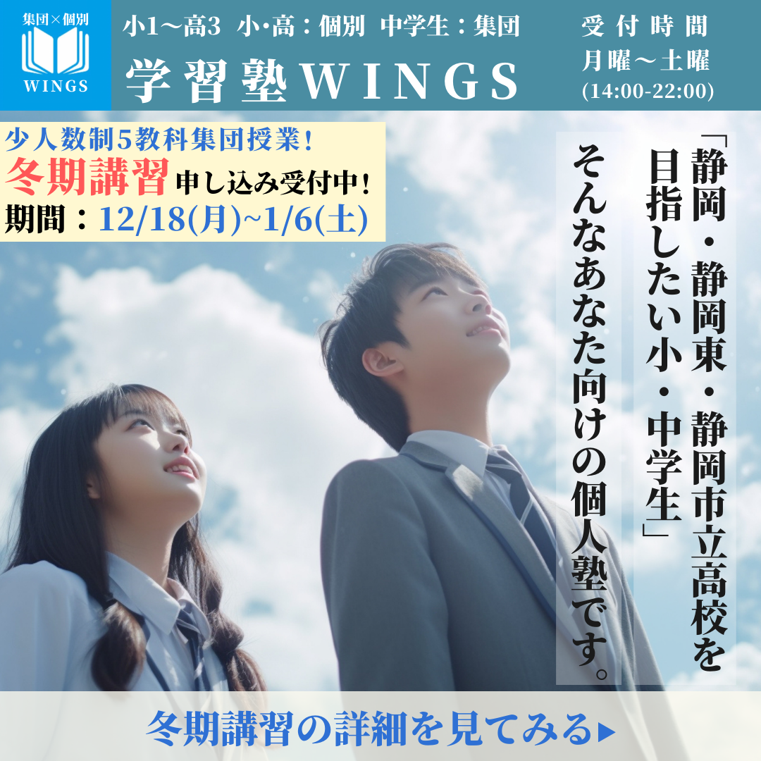 wings_mainimage8